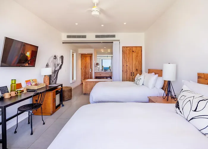 El Ganzo - Adults Only Hotel San Jose del Cabo