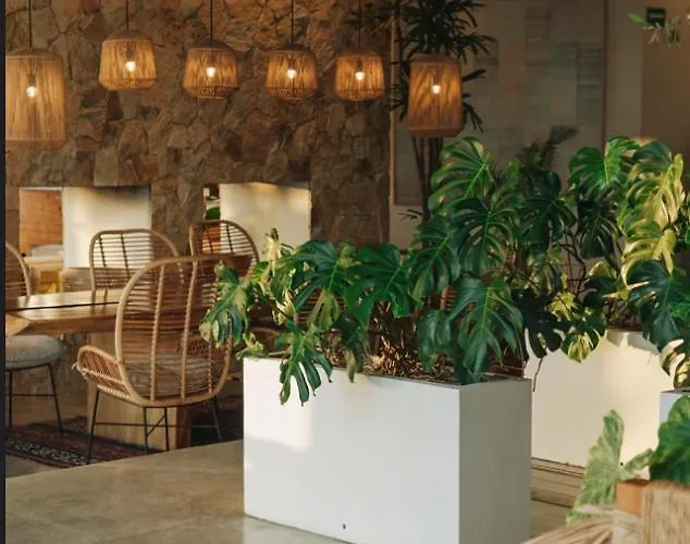 El Ganzo - Adults Only Hotel