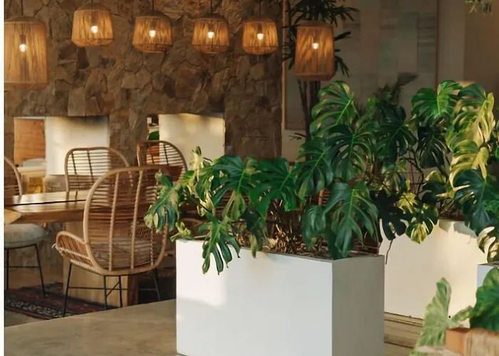El Ganzo - Adults Only Hotel San Jose del Cabo